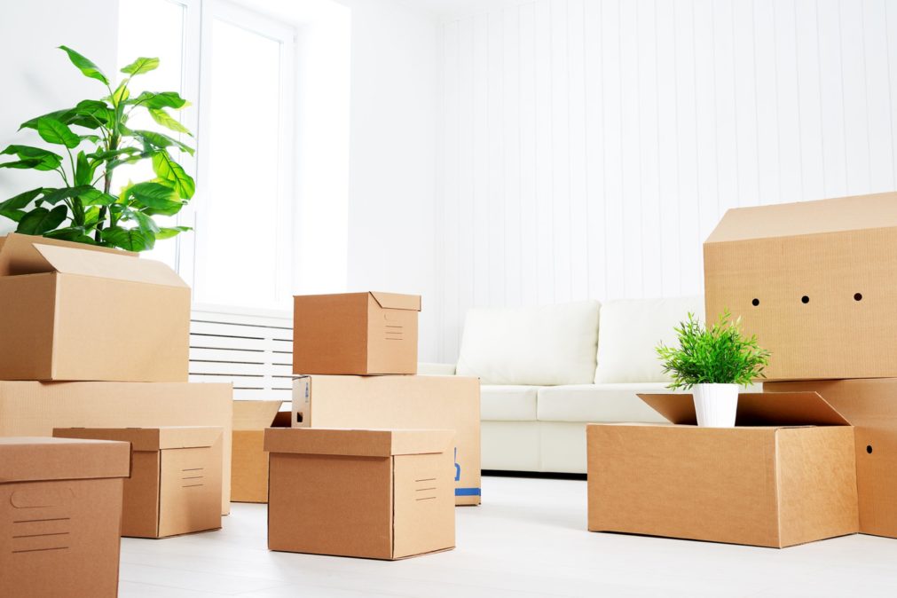 Moving Tips: Items to Pack with You for Moving Day