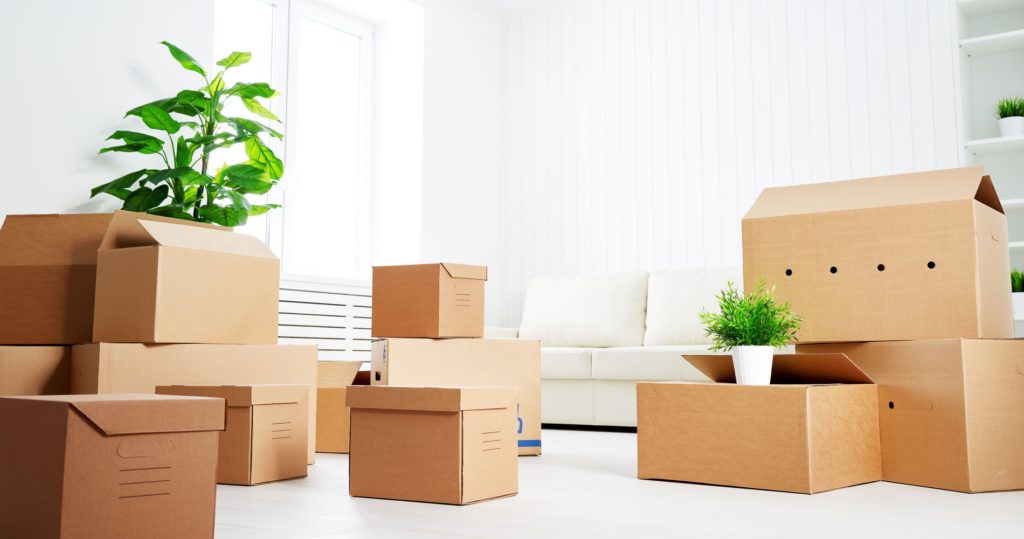 Moving Tips: Items to Pack with You for Moving Day