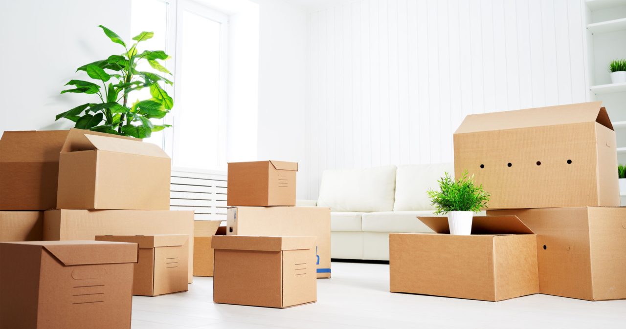 Moving Tips: Items to Pack with You for Moving Day